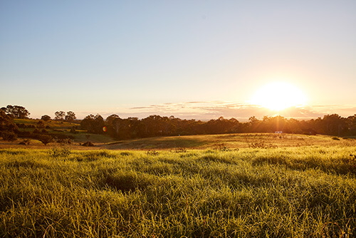 Developing land in greenfield